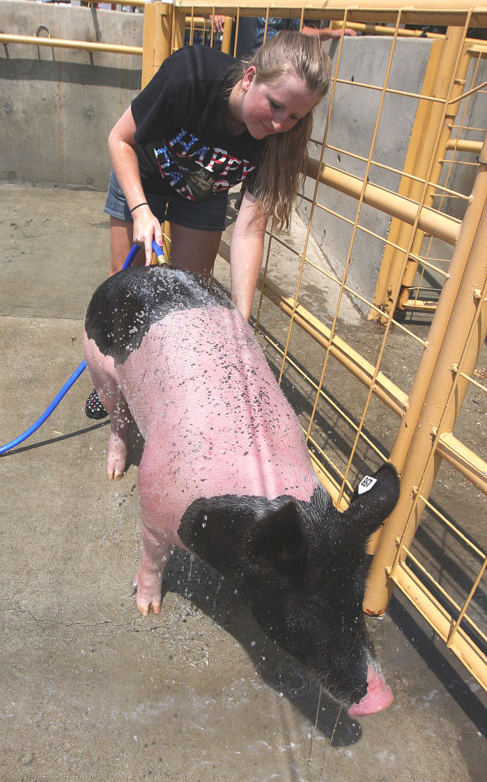 Fair Heat in check at Kings Fair